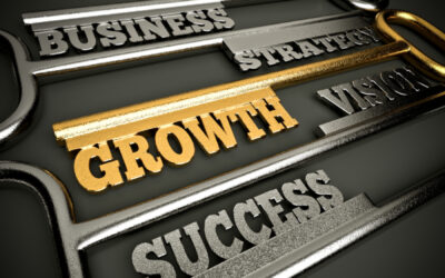 A Small Business Growth Strategy for Boca Raton Business Owners